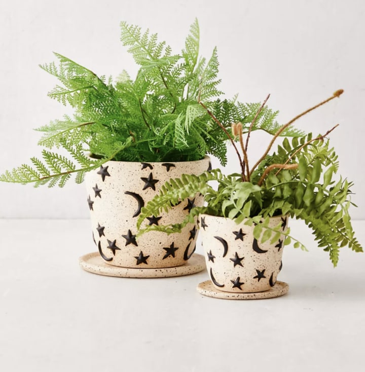 Urban Outfitters Estrella Planter and Tray
