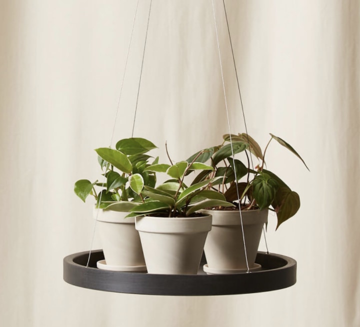 Bloomscape Ecopots Hanging Saucer