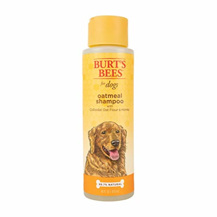 Burt&#039;s Bees for Dogs Natural Oatmeal Shampoo for Dogs