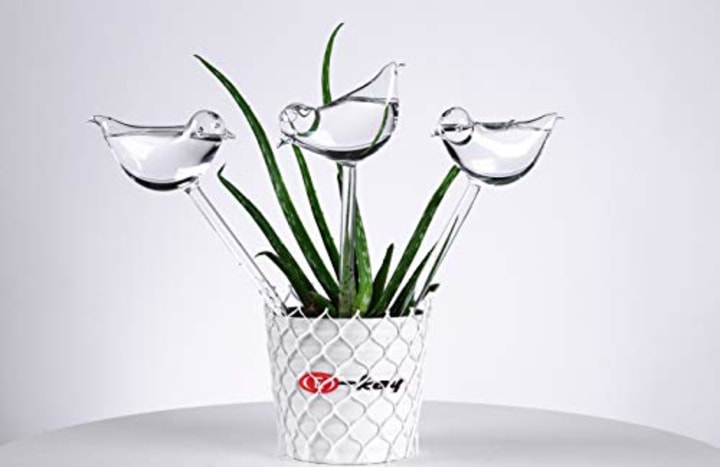E-Kay Self-Watering Plant Globes (Pack of 3)