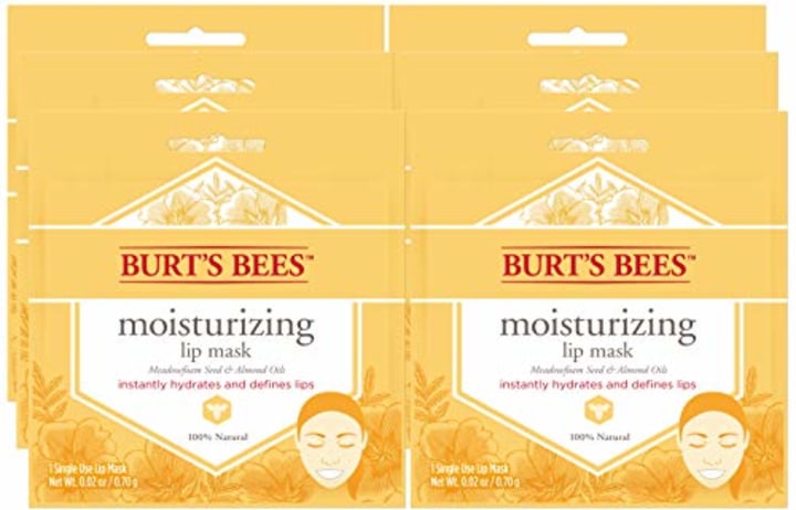 Burt's Bees Moisturizing Lip Mask