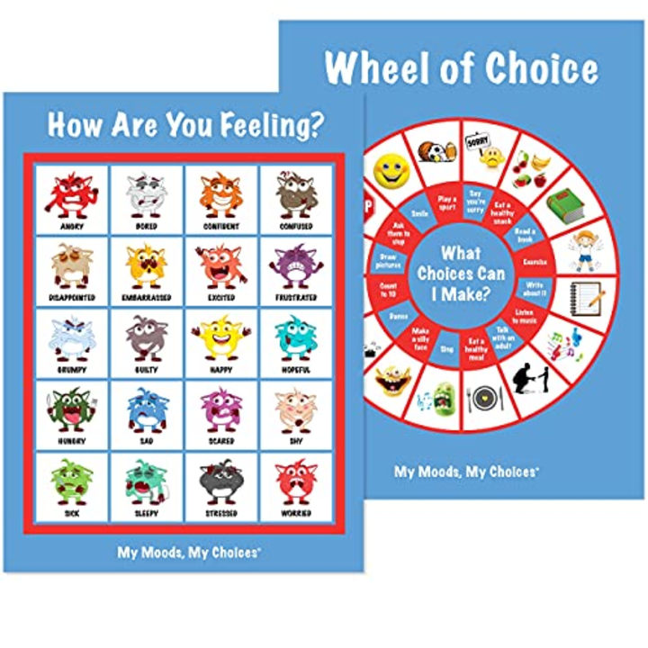 &quot;How are You Feeling?&quot; and &quot;Wheel of Choice&quot; Posters; 20 Different Moods/Emotions; Educational/Learning Tool; Includes 2 Posters