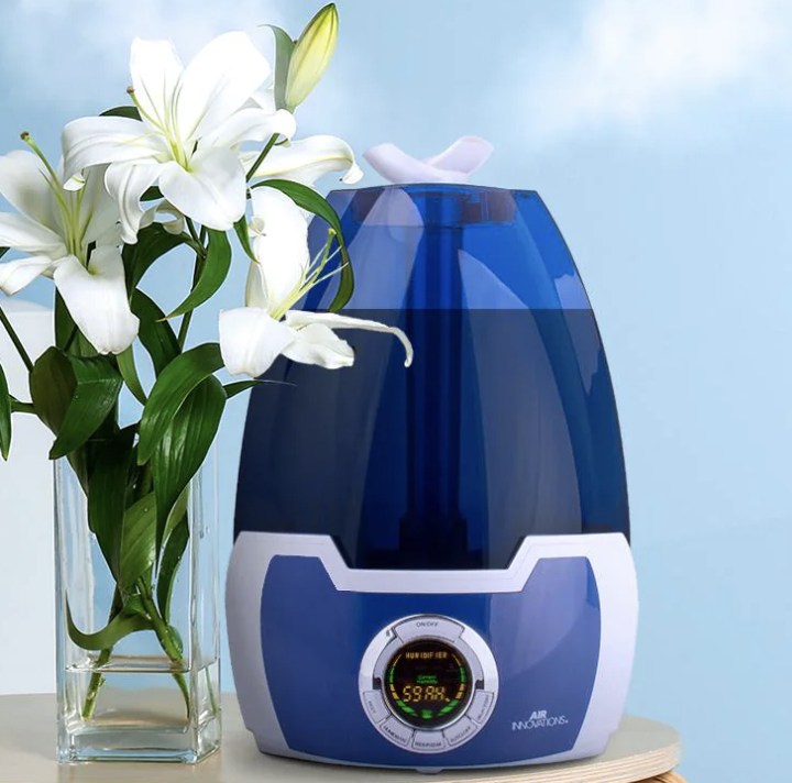 Air Innovations Clean Mist Digital Humidifier