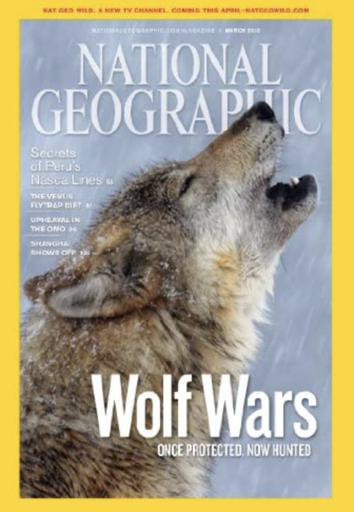 National Geographic One-Year Subscription
