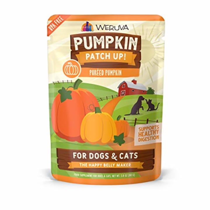 Pumpkin Puree Pet Food Supplement