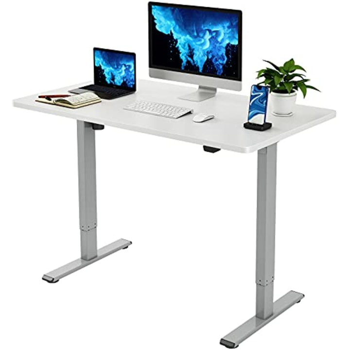 Flexispot EC1 Electric Standing Adjustable Desk