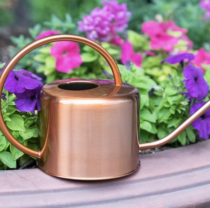 Homarden Copper Colored Watering Can
