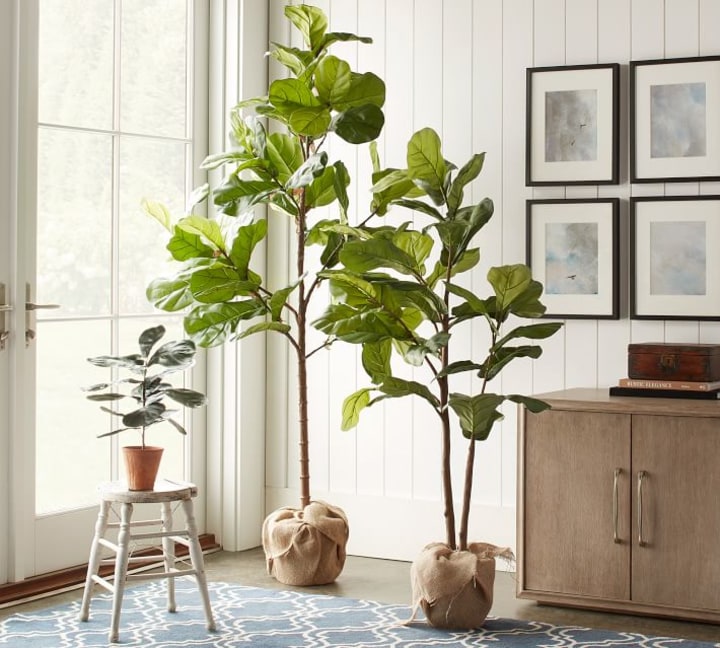 Faux Potted Fiddle Leaf Fig Tree
