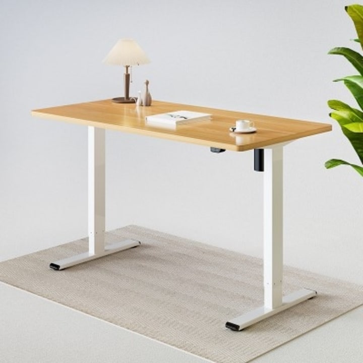 FlexiSpot Seiffen Laminated Standing Desk (Eco &amp; Pro)