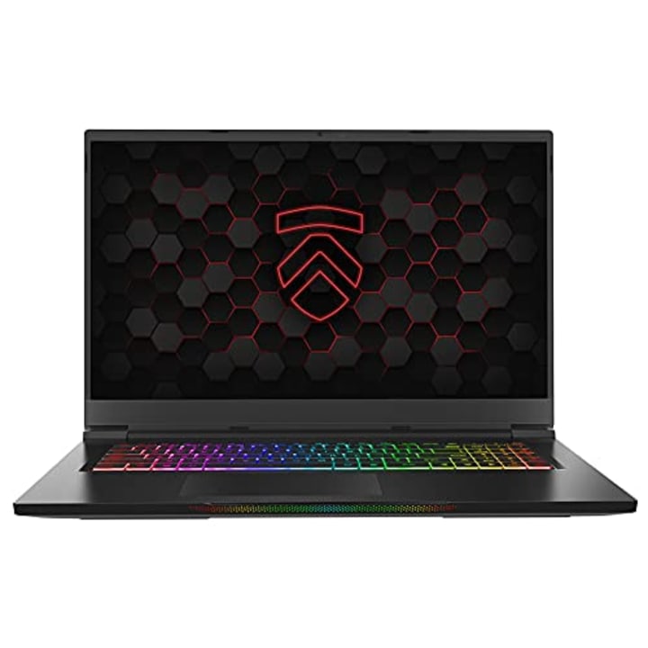 Eluktronics 17.3-Inch MAX 17 Gaming Laptop with AMD Ryzen 9 and NVIDIA GeForce RTX 3080
