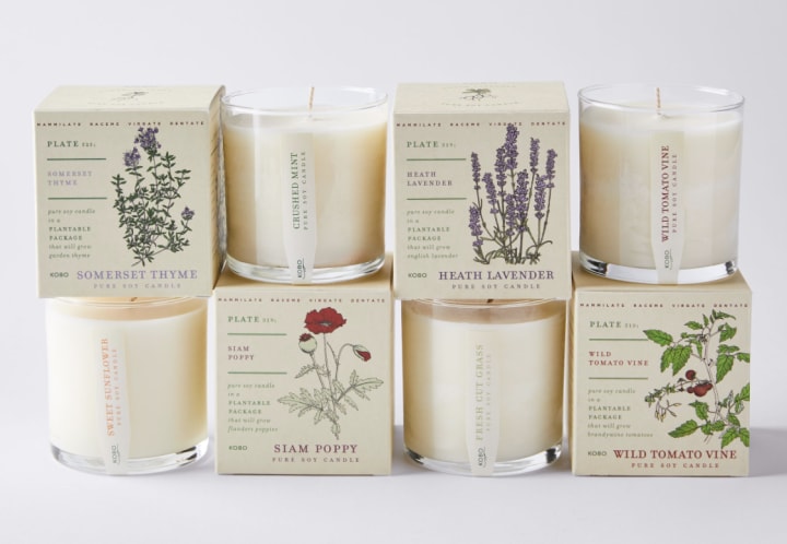 Kobo Candles Plant The Box Scented Candles