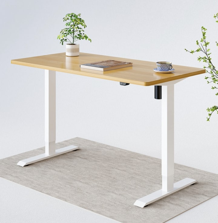 FlexiSpot Seiffen Laminated Standing Desk (Eco & Pro)