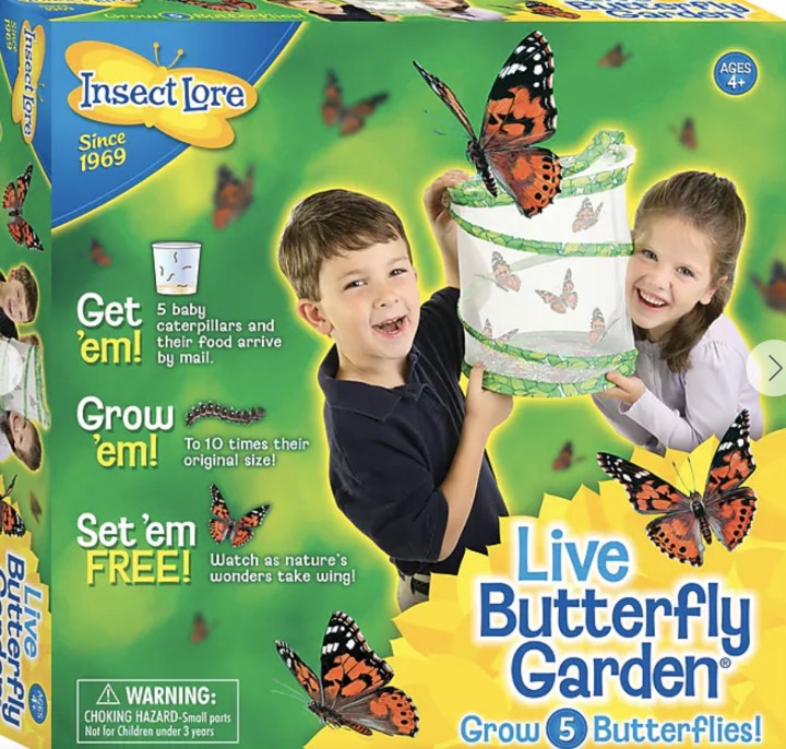 Deluxe Butterfly Garden Gift Set