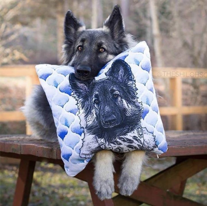 Pop Your Pup Custom Pet Art Pillow