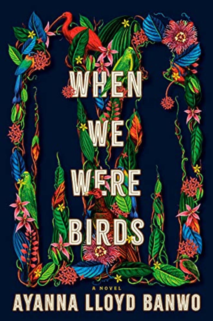 When We Were Birds: A Novel
