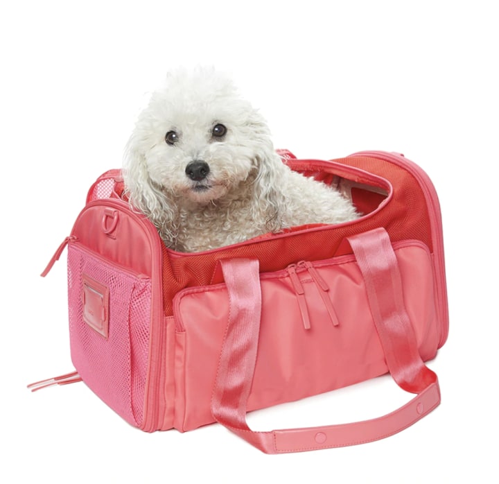 Caraa Pet Carrier