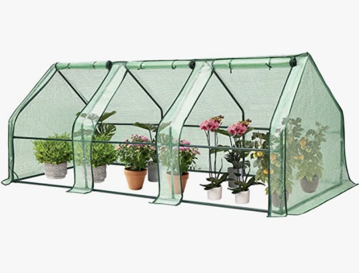 Portable Green House with Roll-up Large Door
