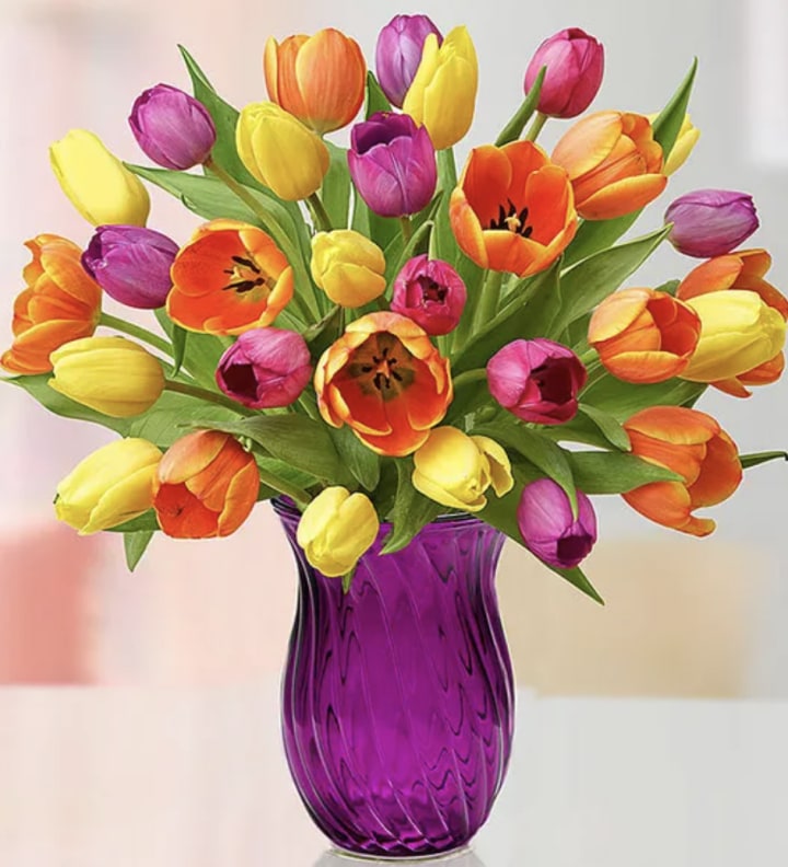 Mother's Day Radiant Tulips, 15-30 Stems