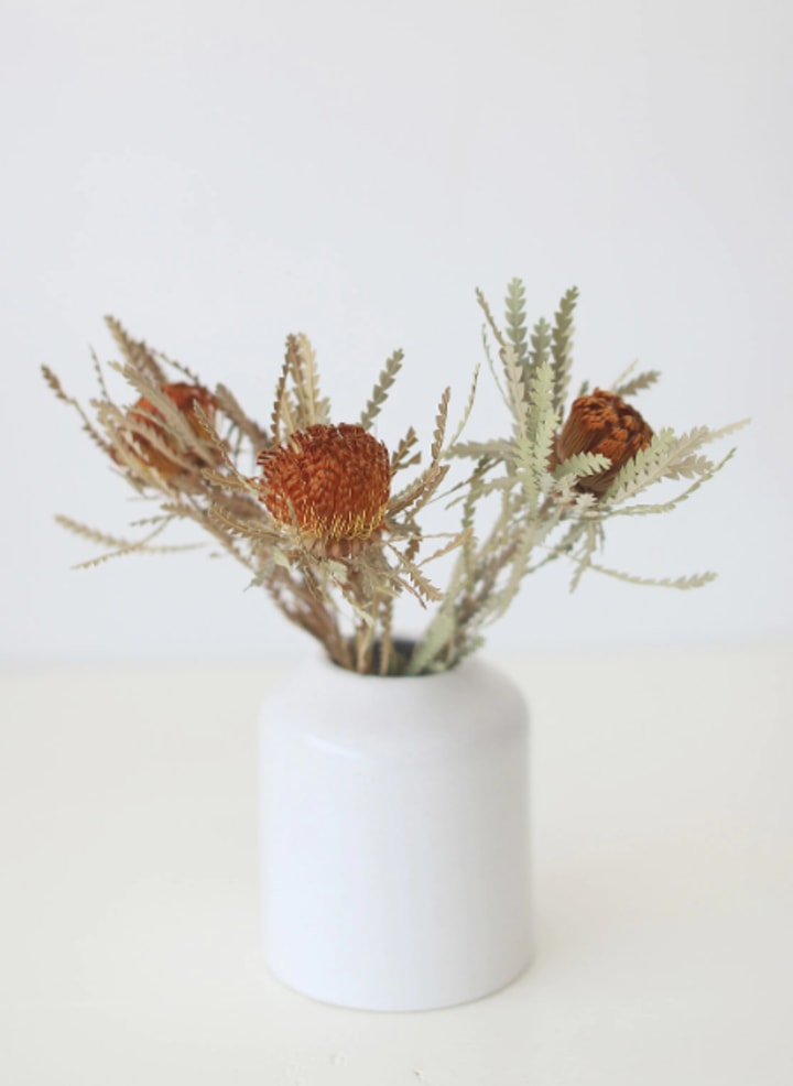 Orange Dried Formosa Banksia Flowers