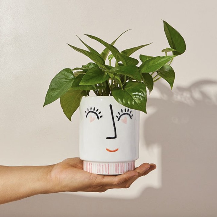 "Eye Adore You" Potted Plant
