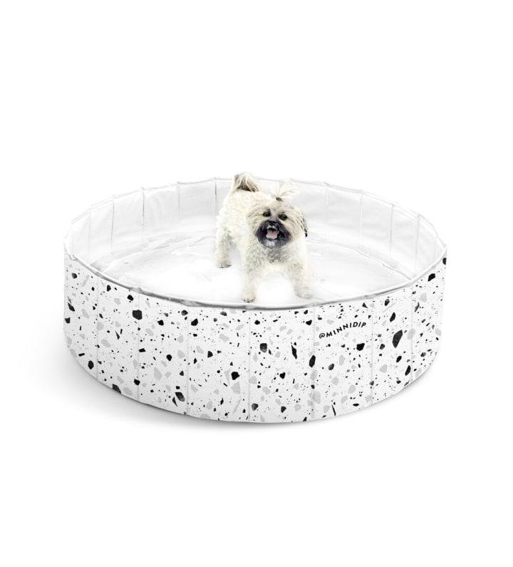 the SPECKLED TERRAZZO PUP DIP(TM) dog pool