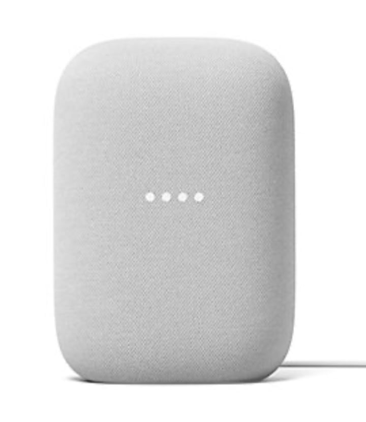 Google NestAudio