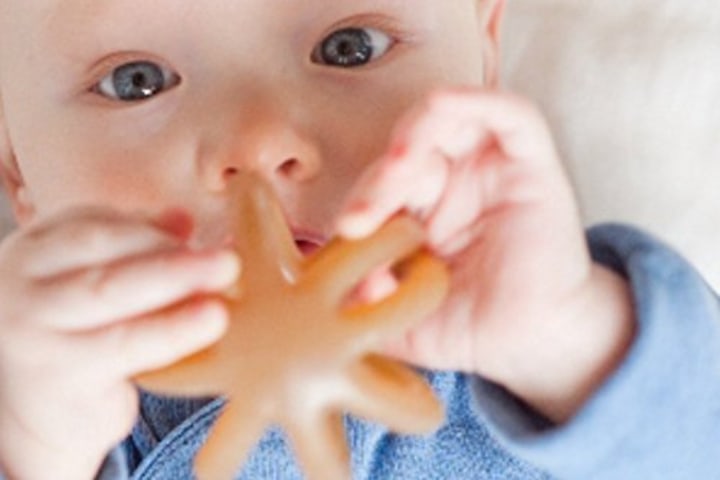 Calmies Teether for Babies Without BPA