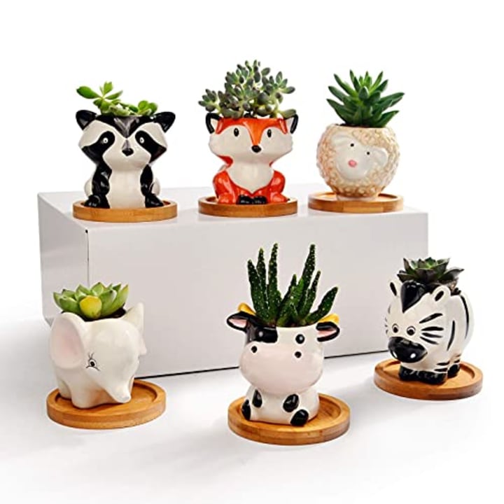 6Pack Small Ceramic Animal Succulent Planters with Drainage and Wooden Tray Saucer Lovely Unique Gift Fox Panda Cow Elephant Sheep Zebra Assorted