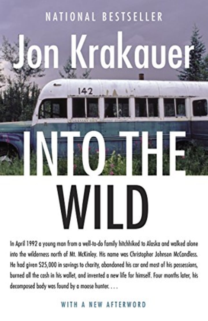 Into the Wild Paperback Novel