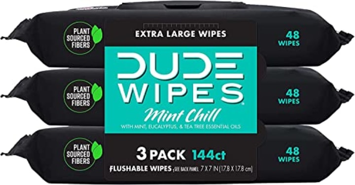 DUDE Wipes Flushable Wet Wipes