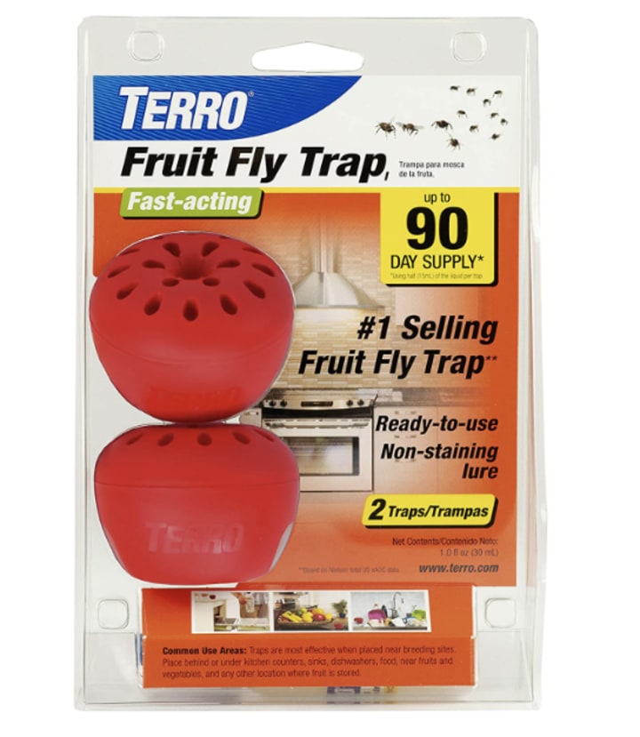 T2502 Indoor Fruit Fly Trap