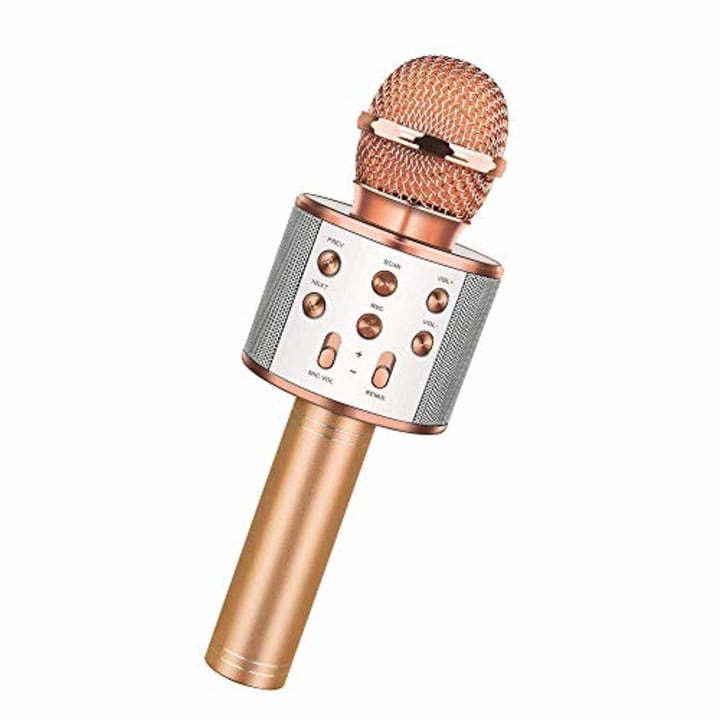 Karaoke Bluetooth Microphone