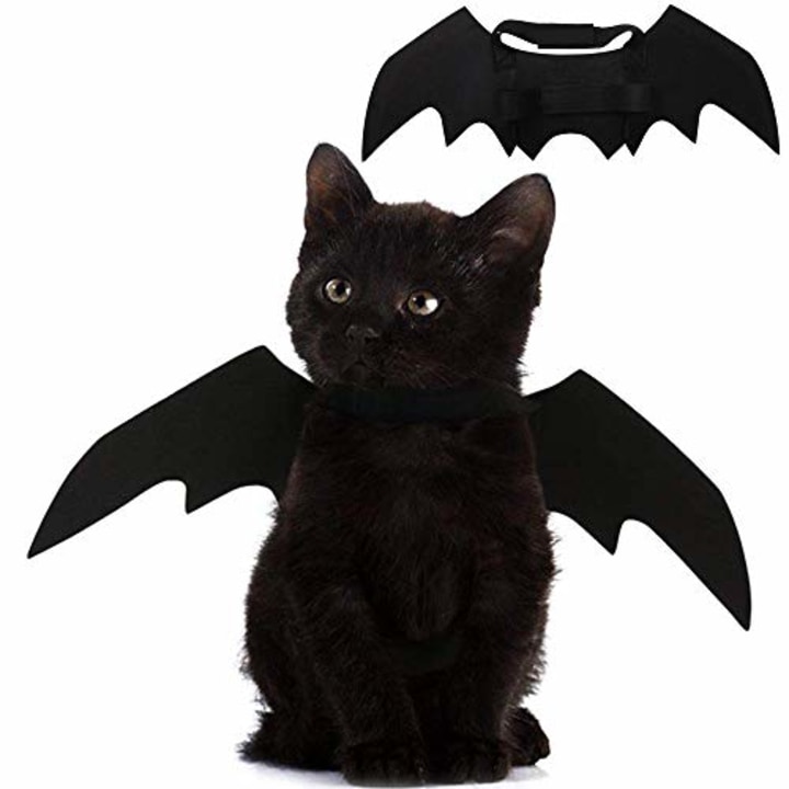 Puoyis Pet Cat Bat Wings
