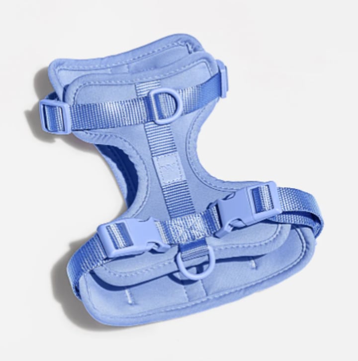 Wild One Harness