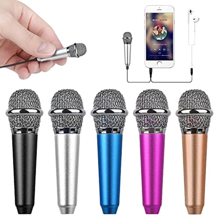 Mini Portable Microphone
