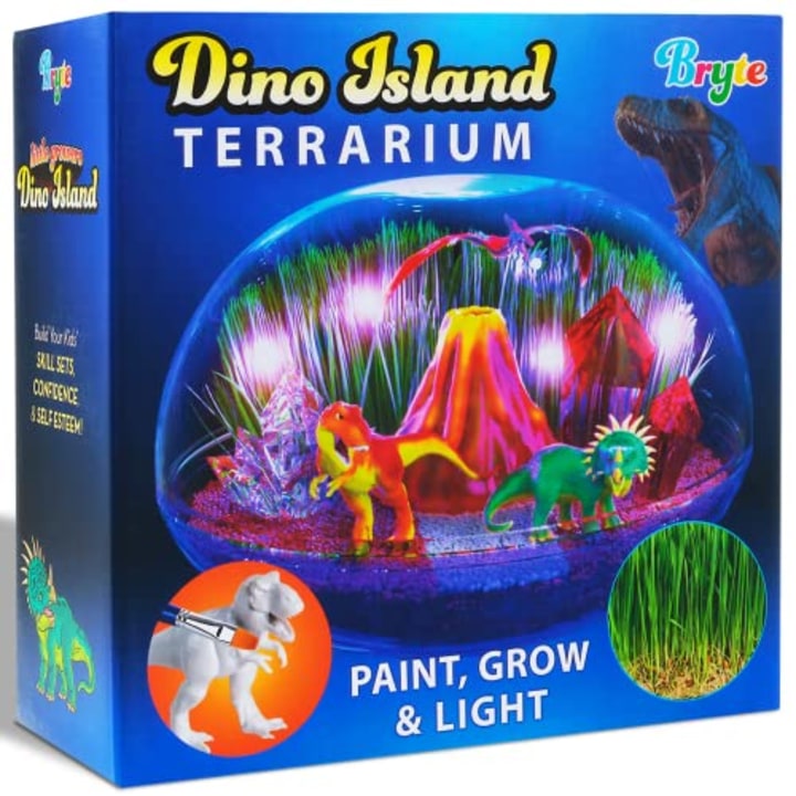 Bryte Dinosaur Terrarium Kit