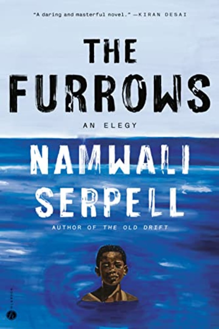 &quot;The Furrows&quot; by Namwali Serpell