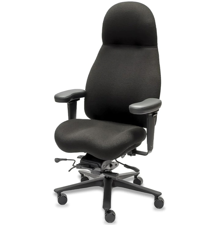 Lifeform High Back Executive Office Chair