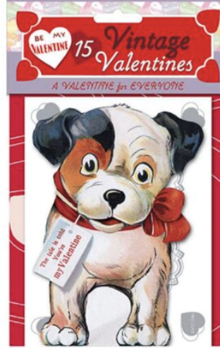 Valentine's Day Cards (Set of 15)