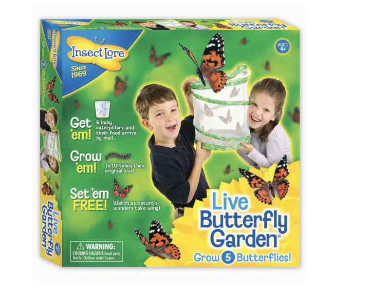Deluxe Butterfly Garden Gift Set