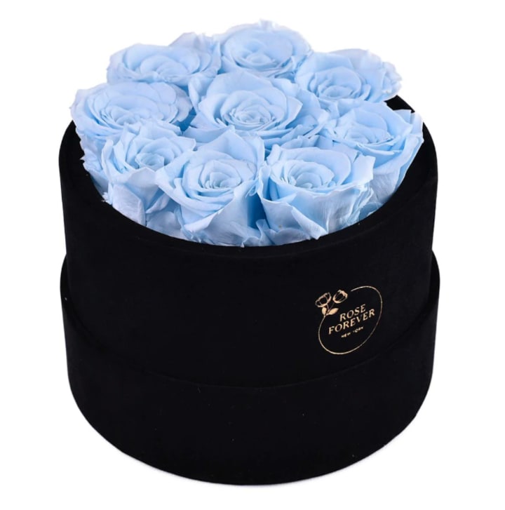 Essential Black Velvet Baby Blue 9