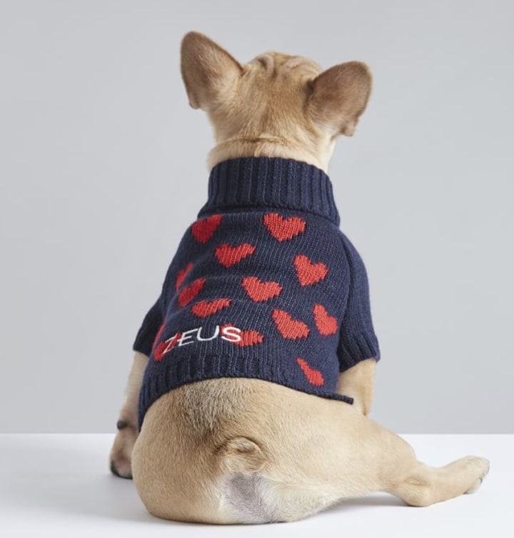 Love Knit Dog Sweater from Mark and Graham