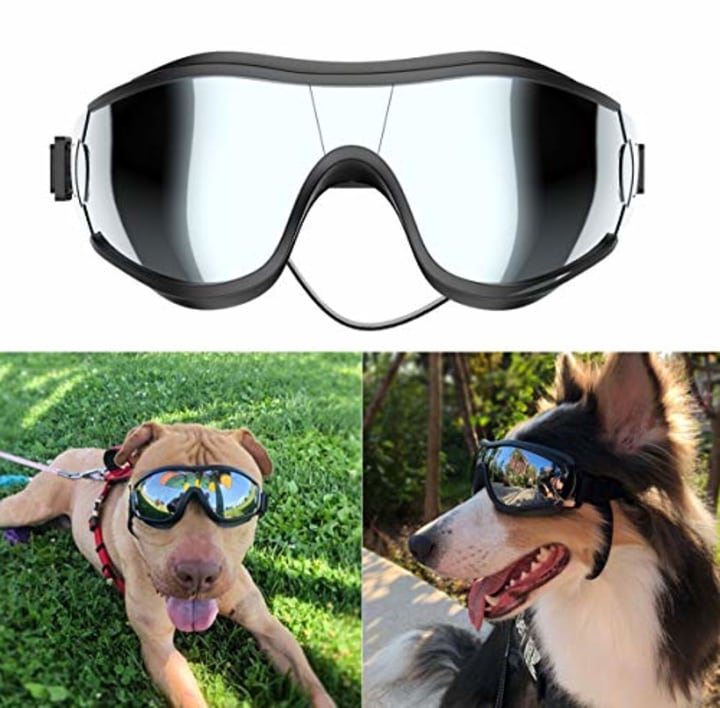 NVTED Dog Sunglasses