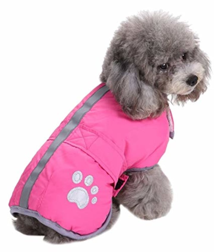 Queenmore Cold Weather Reversible Dog Coat