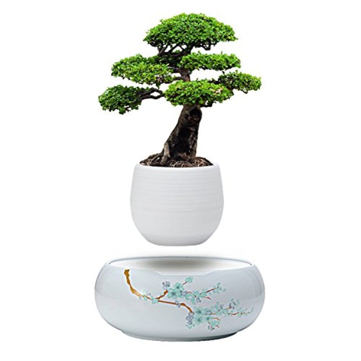 Active Gear Guy Levitating Plant Pot with Japanese Style Design for Flowers Or Bonsai. Magnetic Levitation Creates A Beautiful Floating Display.