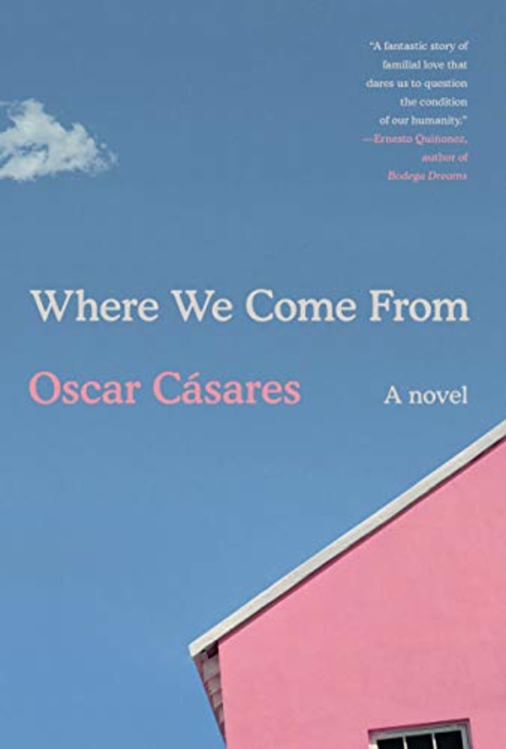 Where We Come From: A novel