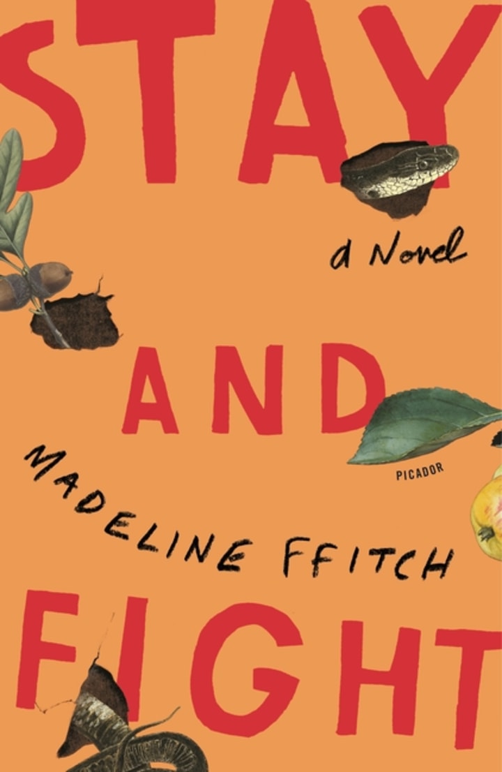 More About Stay and Fight by Madeline Ffitch