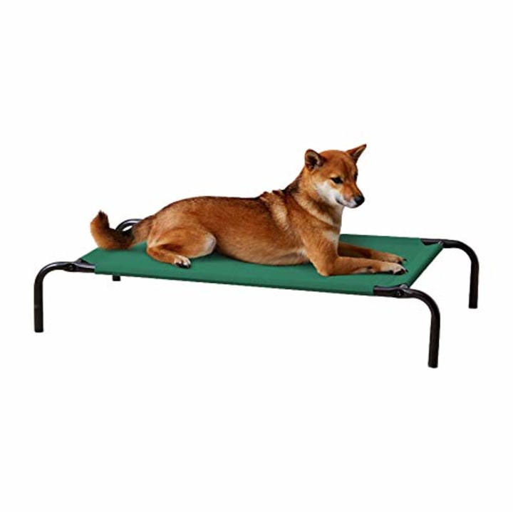 Amazon Basics Cooling Elevated Pet Bed. Best outdoor dog beds in 2021.