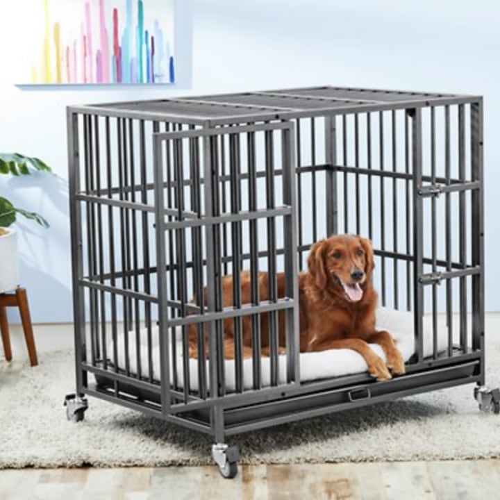 Frisco Ultimate Heavy Duty Metal Dog Crate. Best dog crates in 2021.