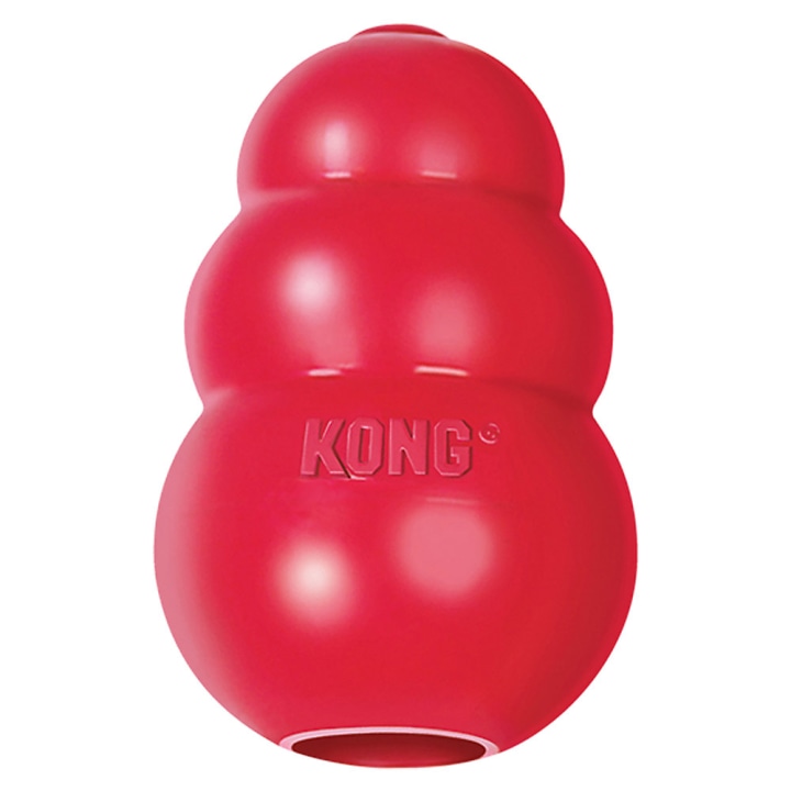 Kong Classic Dog Toy. Best National Pet Day Gifts 2021.